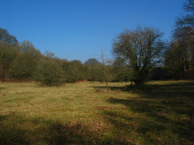 grassland.JPG