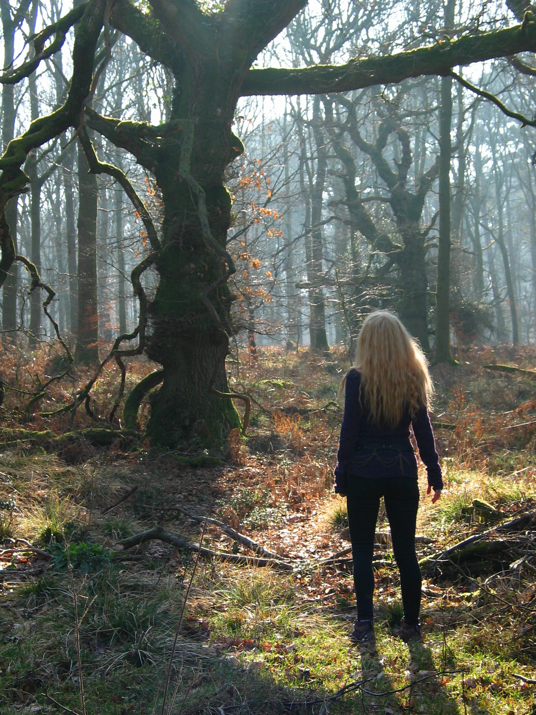 meeting with trees.JPG